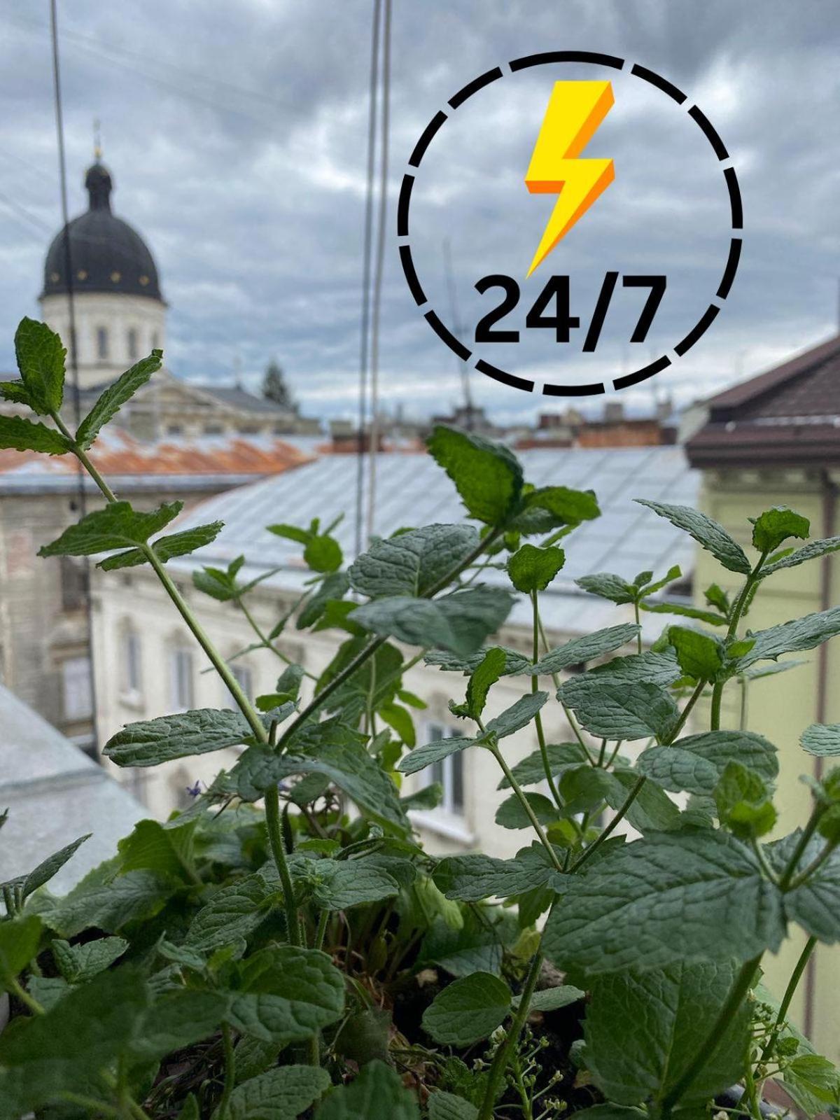 Apartmán Вул Краківська 34 Не Далеко Від Ж Д Вокзалу Звітні Документи Lvov Exteriér fotografie